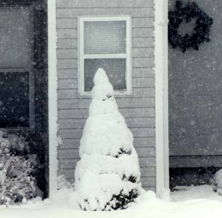 Firry snowman