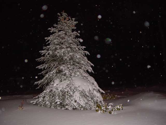 snowplow