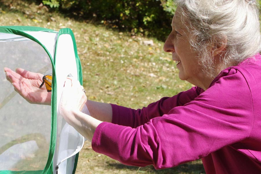 Monarch ready to come out