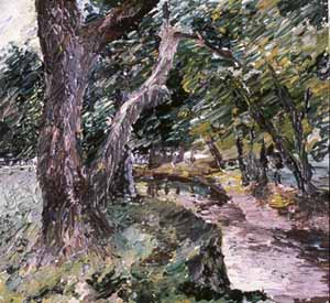 Along the Rothay