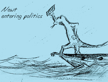 Entering politics