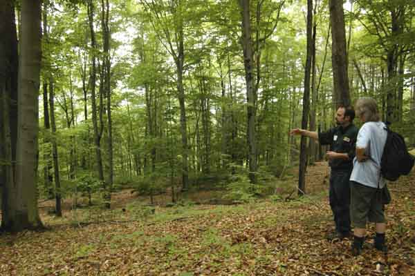 Brian Pfister discussing trees with Sue and me