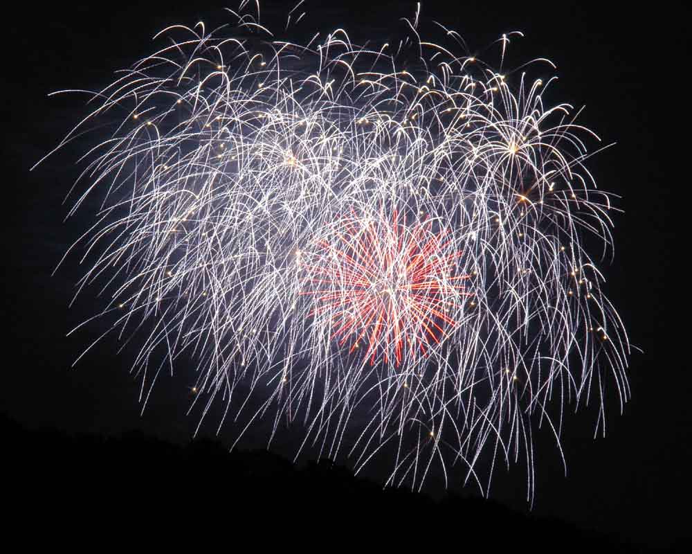 Firework 6